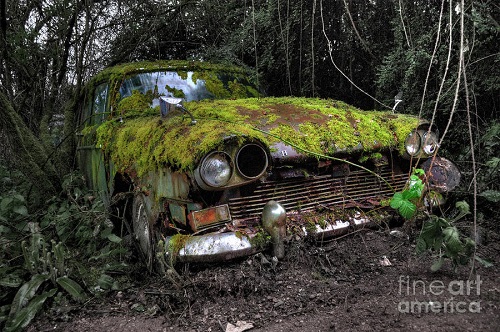 Abandoned Car covered in Moss. Image Credit: Fine Art America.