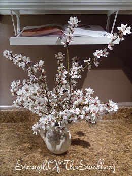 Almond Blossom in Milk Jug.
