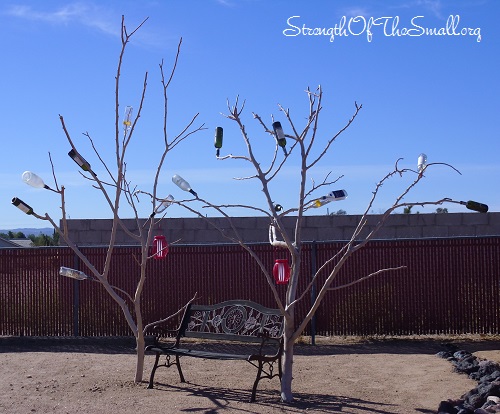 Bare Branch Bottle Tree.