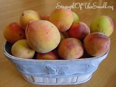 Basket of freshly picked Peaches (a gift from my neighbor).