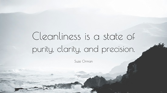 "Cleanliness is a state of purity, clarity, and precision." — Suze Orman