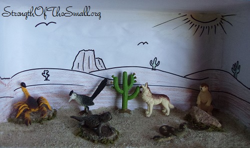 Desert Animal Diorama.