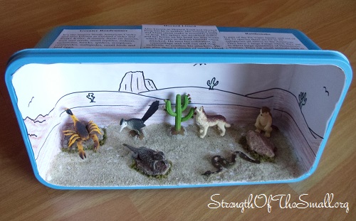 Animal Diorama 