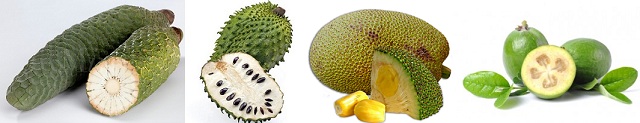 Exotic Fruits.