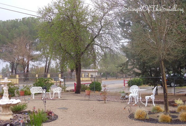 Partial View of My Front Yard.