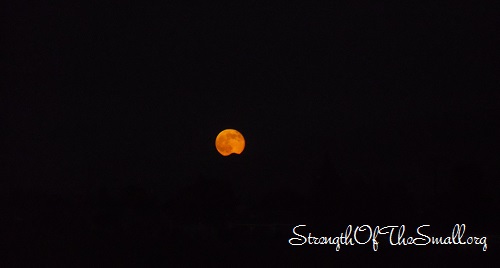 Full Moon Rising.