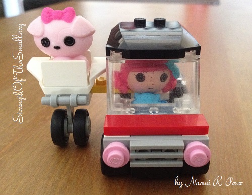 LEGO Mini Car with Pet Sidecar.