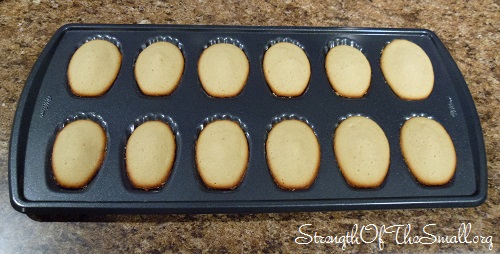Madeleines in Pan, out of the oven.