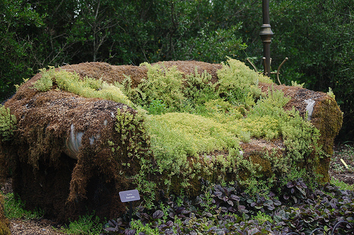 Moss Couch, Memphis Botanic Garden.