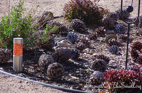 A few Pinecones around my Water Fountain.