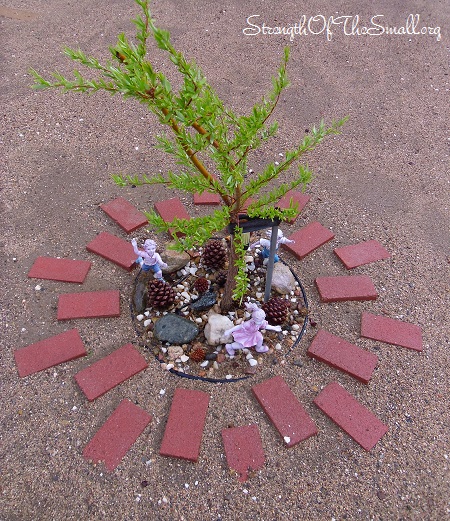 Navajo Globe Willow.