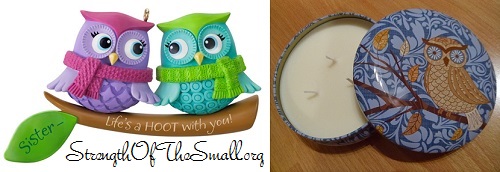 Owl Ornament & Owl Candle Tin.