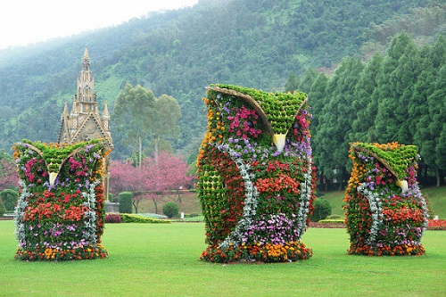 Owl Topiary.