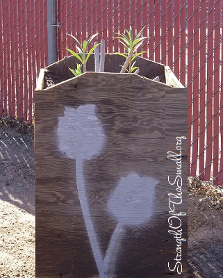 Primitive Wood Planter.