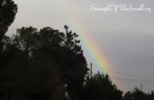 Rainbow After The Rain.