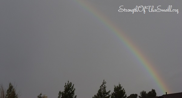 Rainbow during the Rainstorm.