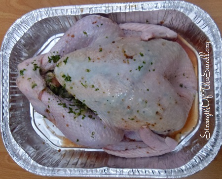 Seasoned Turkey.