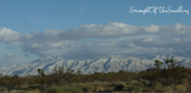 Snowy Mountains.