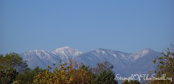 Snowy Mountains.