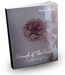 Strength Of The Small by Joan Ambu