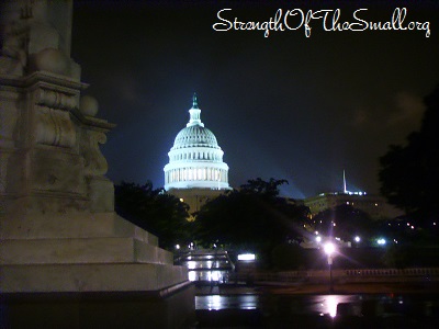 The White House by night.