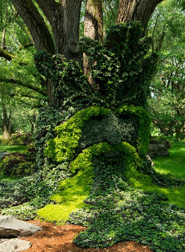 Montreal Botanical Gardens. Image Credit: Guy Boily.