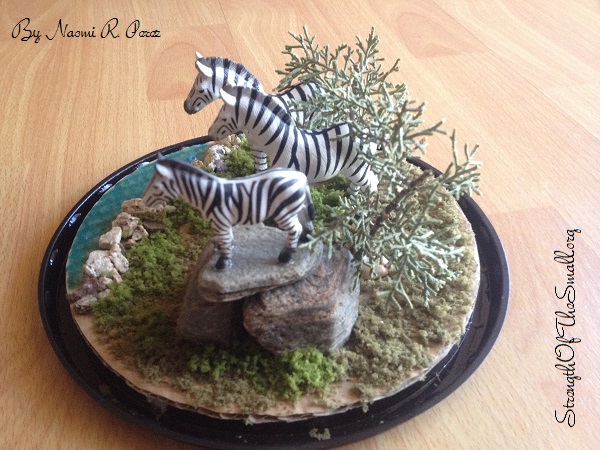 Zebra Habitat.